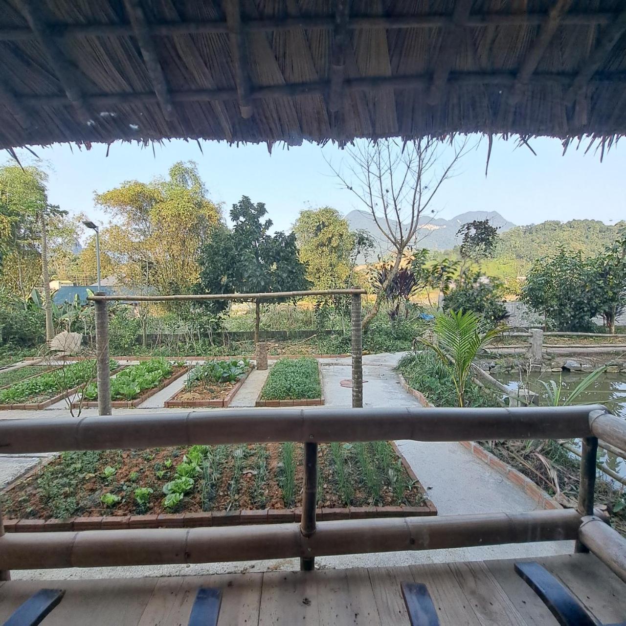 Homestay field Ha Giang Luaran gambar