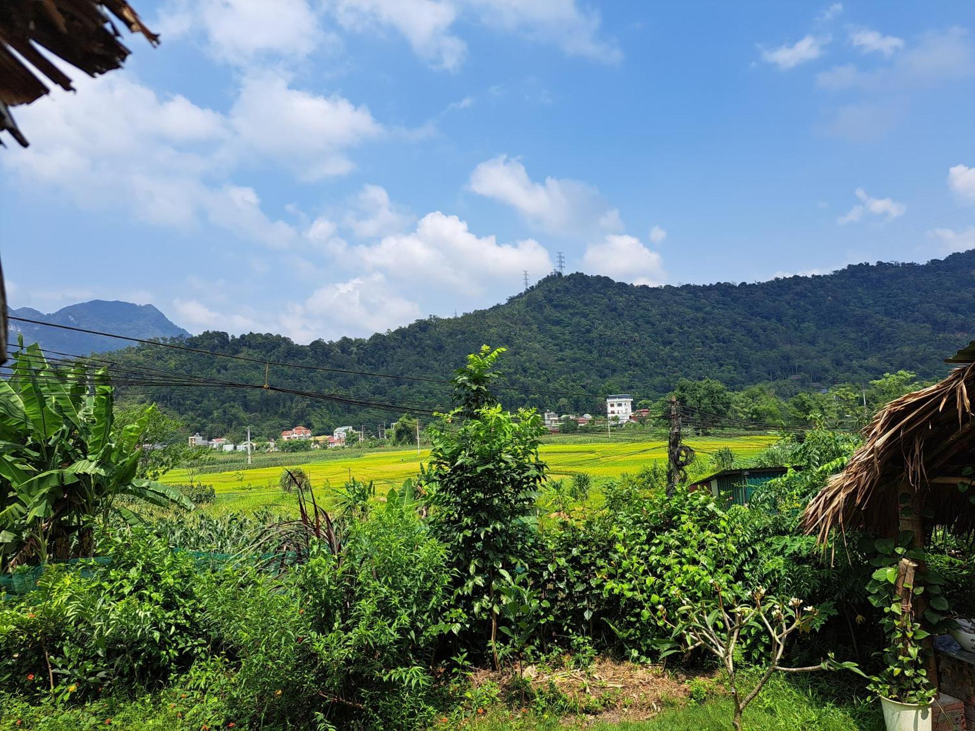 Homestay field Ha Giang Luaran gambar
