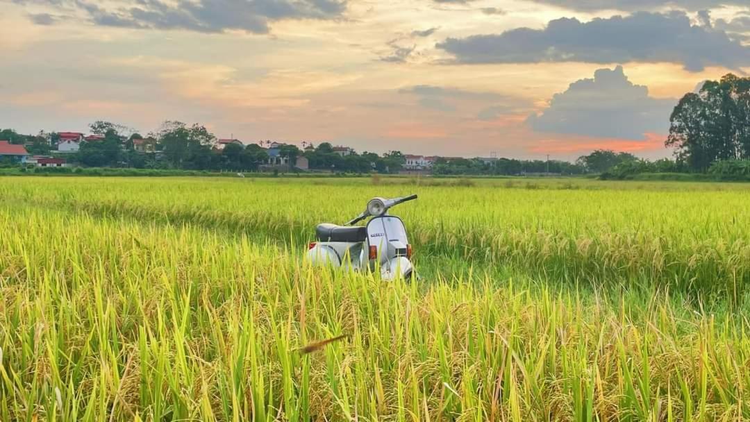 Homestay field Ha Giang Luaran gambar