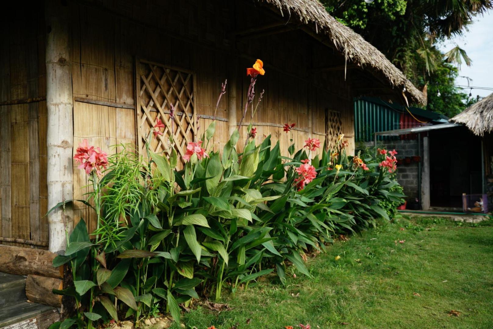 Homestay field Ha Giang Luaran gambar